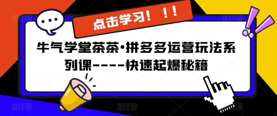 牛气学堂茶茶•拼多多运营玩法系列课—-快速起爆秘籍【更新】-源创资源网