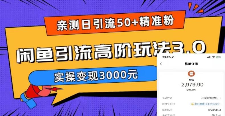 亲测日引50+精准粉，闲鱼引流高阶玩法3.0，实操变现3000元【揭秘】-源创资源网
