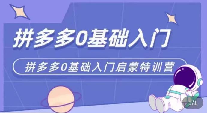 拼多多运营0-1实操特训营，拼多多0基础入门，从基础到进阶的可实操玩法-源创资源网