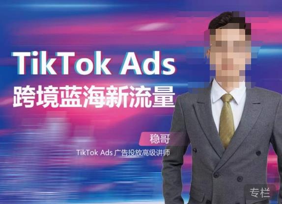 稳哥·如何投出高ROI的TikTok广告，开拓独立站卖家流量新蓝海-源创资源网