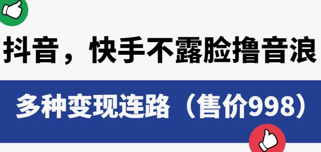抖音快手不露脸撸音浪项目，多种变现连路（售价998）-源创资源网