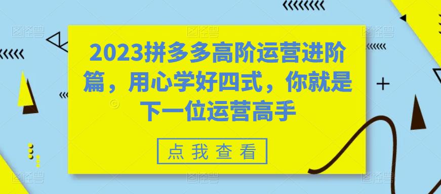 2023拼多多高阶运营进阶篇，用心学好四式，你就是下一位运营高手-源创资源网