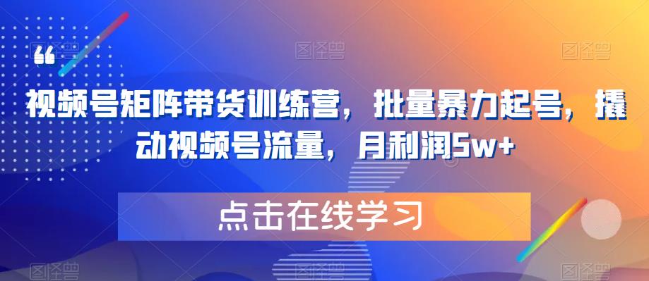视频号矩阵带货训练营，批量暴力起号，撬动视频号流量，月利润5w+-源创资源网