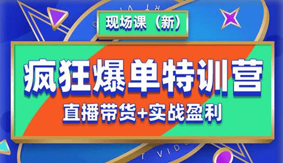 抖音短视频疯狂爆单特训营现场课（新）直播带货+实战案例-源创资源网