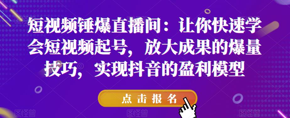 短视频锤爆直播间：让你快速学会短视频起号，放大成果的爆量技巧，实现抖音的盈利模型-源创资源网