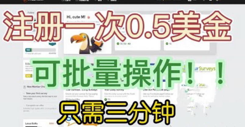 国外项目注册一次0.5美金，只需三分钟无脑操作，可批量同时放大操作，小白工作室福利【揭秘】-源创资源网