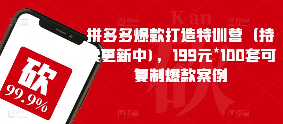 拼多多爆款打造特训营（持续更新中)，199元*100套可复制爆款案例-源创资源网