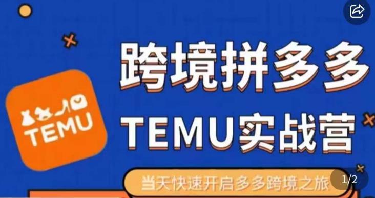 大鹏出海·拼多多跨境temu运营指导，开店注册+选品+核价上架，日出千单实战课-源创资源网