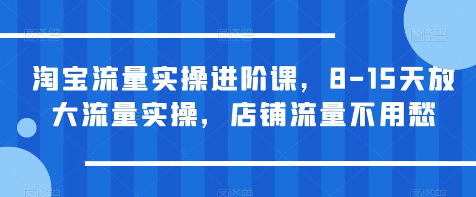淘宝流量实操进阶课，8-15天放大流量实操，店铺流量不用愁-源创资源网