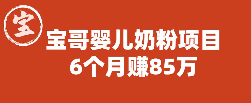 宝哥婴儿奶粉项目，6个月赚85w【图文非视频】【揭秘】-源创资源网