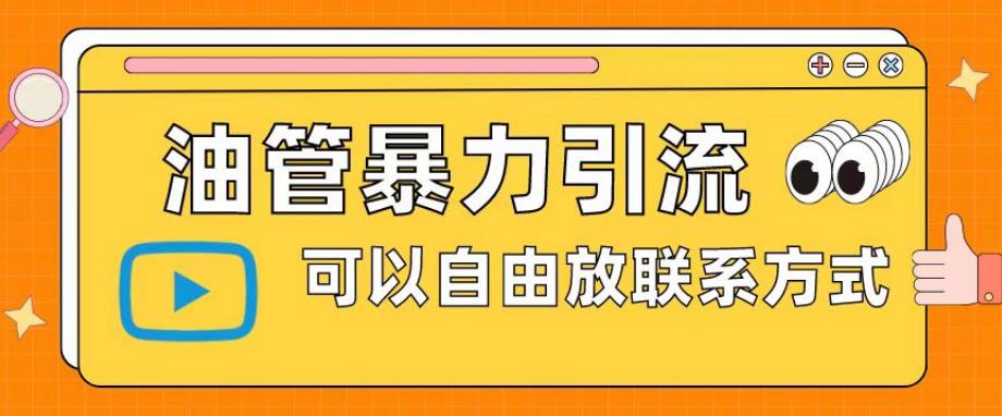 油管暴力引流，可以自由放联系方式【揭秘】-源创资源网