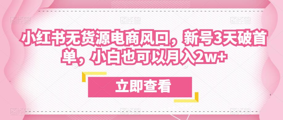 众狼电商余文小红书无货源电商风口，新号3天破首单，小白也可以月入2w+-源创资源网
