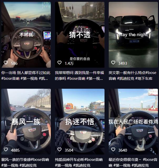 抖音开车视频项目，0基础操作，每天五分钟，月入1W+【揭秘】-源创资源网
