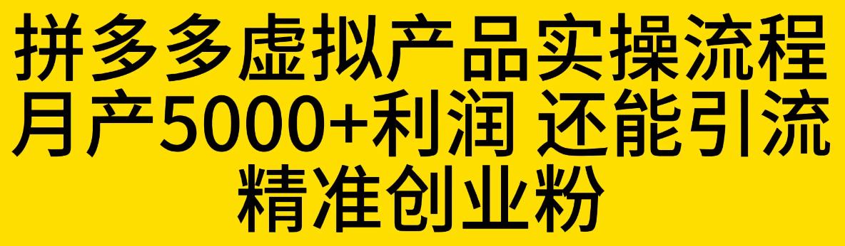 拼多多虚拟产品实操流程，月产5000+利润，还能引流精准创业粉【揭秘】-源创资源网