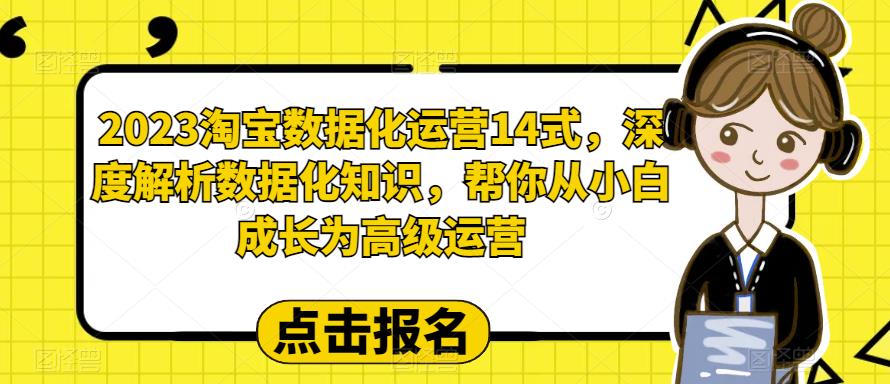 2023淘宝数据化运营14式，深度解析数据化知识，帮你从小白成长为高级运营-源创资源网