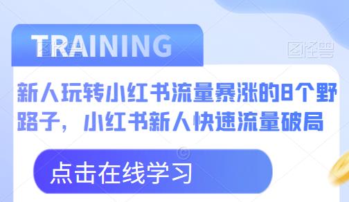 新人玩转小红书流量暴涨的8个野路子，小红书新人快速流量破局-源创资源网
