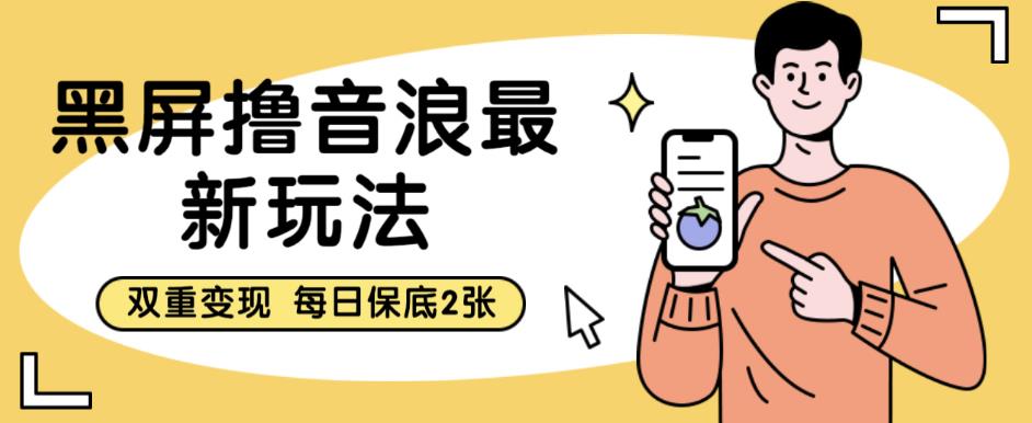 黑屏撸音浪最新玩法，双重变现，每日保底2张【揭秘】-源创资源网