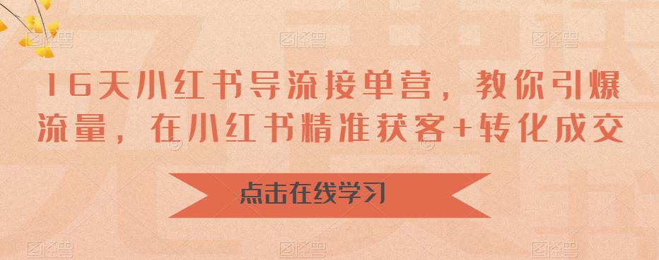 16天小红书导流接单营，教你引爆流量，在小红书精准获客+转化成交-源创资源网