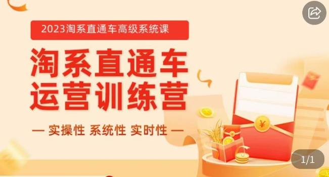 冠东·2023淘系直通车高级系统课，​实操性，系统性，实时性，直通车完整体系教学-源创资源网