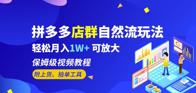 拼多多店群自然流玩法，轻松月入1W+保姆级视频教程（附上货、拍单工具）-源创资源网