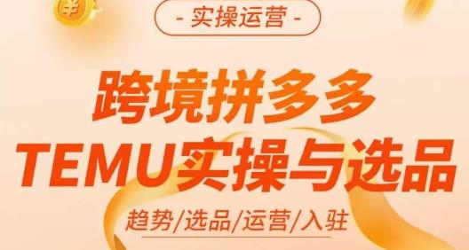 伍跃·跨境拼多多TEMU实操与选品，​趋势/选品/运营/入住（27节完整）-源创资源网