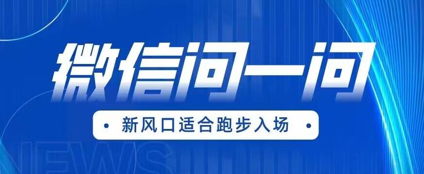 全网首发微信问一问新风口变现项目（价值1999元）【揭秘】-源创资源网