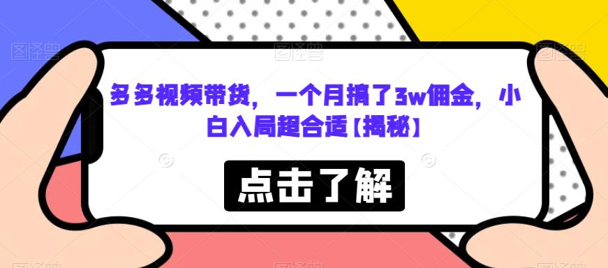 多多视频带货，一个月搞了3w佣金，小白入局超合适【揭秘】-源创资源网