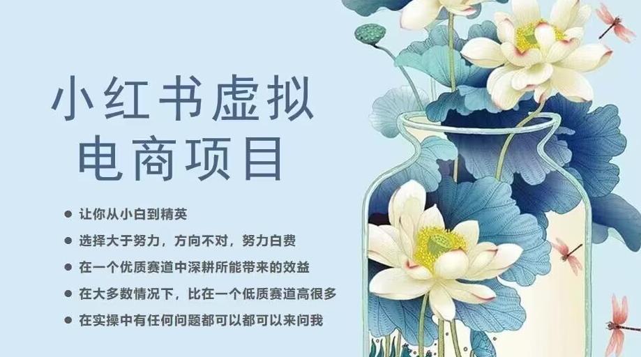 小红书虚拟电商从0到1，让你从小白到精英（20节实操课程）-源创资源网