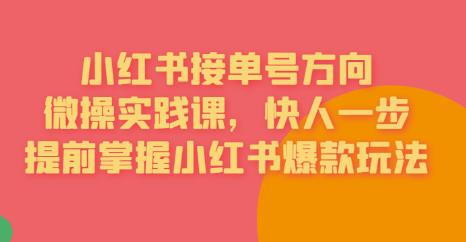 接单号方向·小红书微操实践课，快人一步，提前掌握小红书爆款玩法-源创资源网