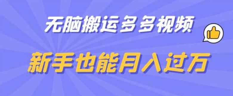无脑搬运多多视频，新手也能月入过万【揭秘】-源创资源网