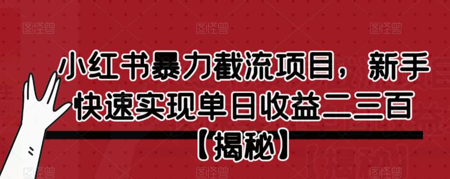小红书暴力截流项目，新手快速实现单日收益二三百【仅揭秘】-源创资源网