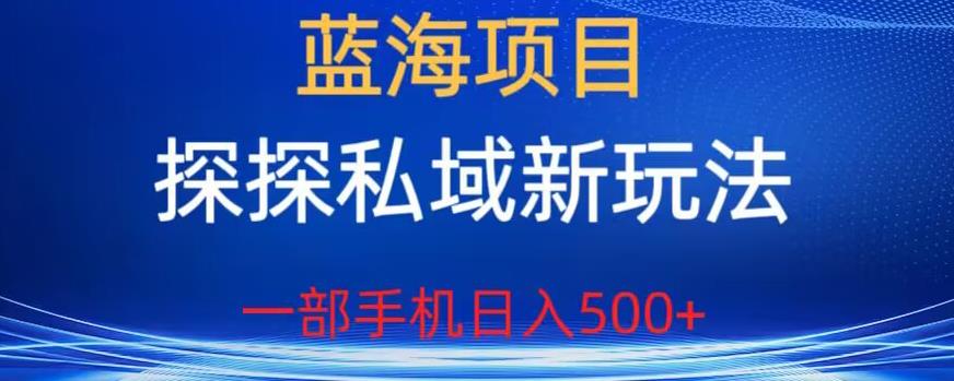 蓝海项目，探探私域新玩法，一部手机日入500+很轻松【揭秘】-源创资源网