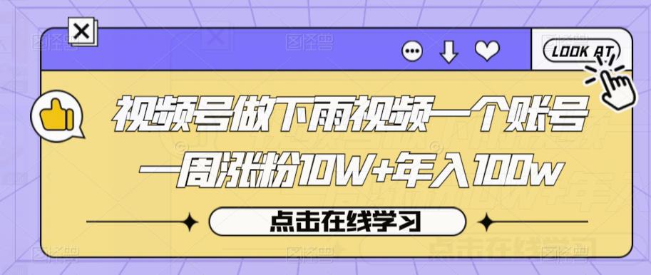 视频号做下雨视频一个账号一周涨粉10W+年入100w【揭秘】-源创资源网