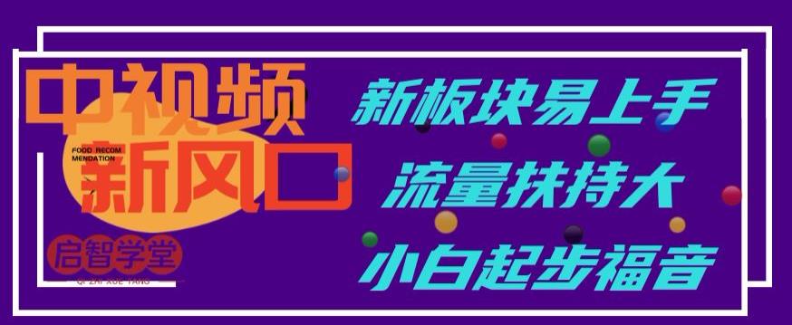 中视频新风口，新板块易上手，流量扶持大，小白起步福音【揭秘】-源创资源网