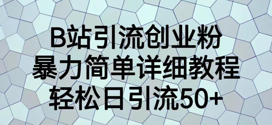 B站引流创业粉，暴力简单详细教程，轻松日引流50+【揭秘】-源创资源网