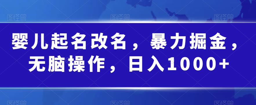 婴儿起名改名，暴力掘金，无脑操作，日入1000+【揭秘】-源创资源网