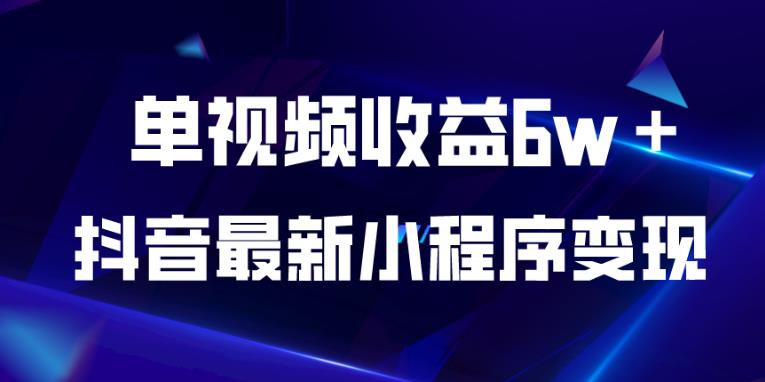 抖音最新小程序变现项目，单视频收益6w＋，小白可做【揭秘】-源创资源网