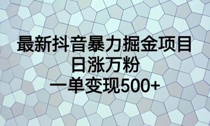 最新抖音暴力掘金项目，日涨万粉，一单变现500+【揭秘】-源创资源网