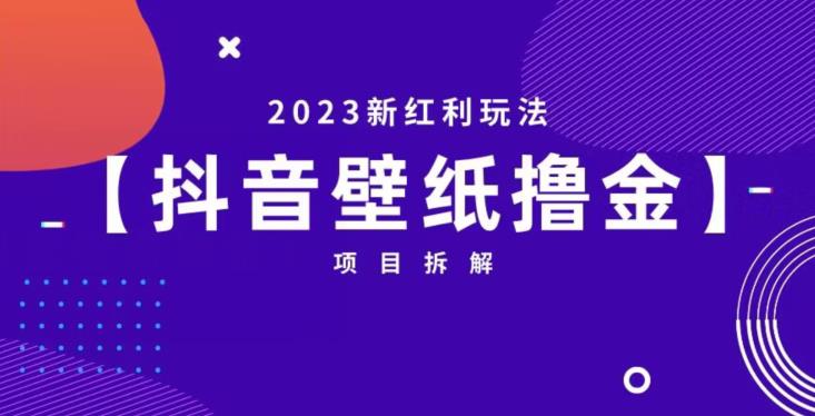 抖音壁纸小程序创作者撸金项目，2023新红利玩法【项目拆解】-源创资源网