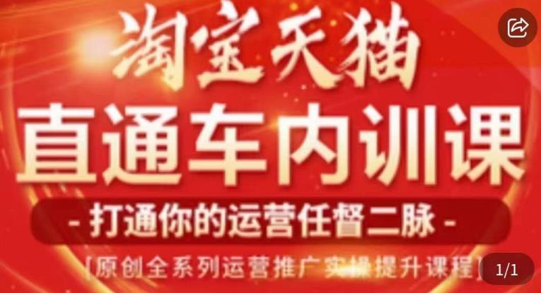 天问电商·2023淘宝天猫直通车内训课，零基础学起直通车运营实操课程-源创资源网