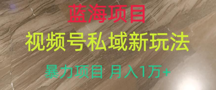 蓝海项目，视频号私域新玩法，暴力项目月入1万+【揭秘】-源创资源网