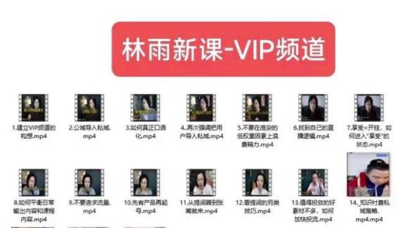 林雨新课VIP频道，玩赚私域/朋友圈/社群-源创资源网