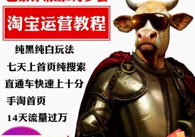 猫老师·淘系算法逆向解密，​纯黑纯白玩法，七天上首页纯搜索，手淘首页14天流量过万-源创资源网