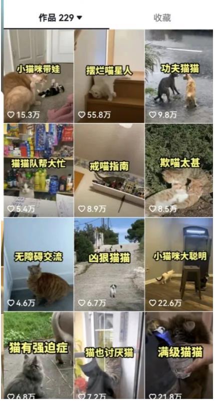 拆解：抖音盘点类中视频变现副业项目，视频版一条龙大解析分享给你-源创资源网