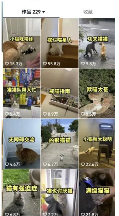 拆解抖音盘点类中视频变现副业项目，视频版一条龙大解析分享给你【视频课程】-源创资源网