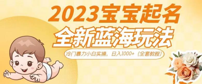 2023宝宝起名全新蓝海玩法，冷门暴力小白实操，日入1000+（全套教程）【揭秘】-源创资源网