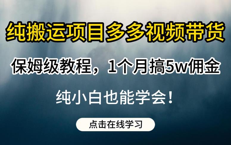 纯搬运项目多多视频带货保姆级教程，1个月搞5w佣金，纯小白也能学会【揭秘】-源创资源网