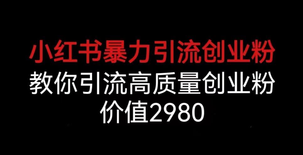小红书暴力引流创业粉，教你引流高质量创业粉，价值2980【揭秘】-源创资源网