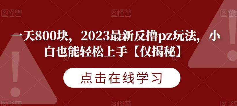 一天800块，2023最新反撸pz玩法，小白也能轻松上手【仅揭秘】-源创资源网