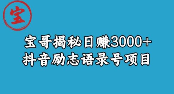 宝哥揭秘日赚3000+抖音励志语录号短视频变现项目-源创资源网